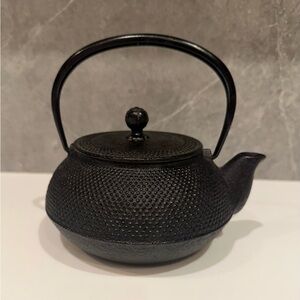 Elegant Black Cast Iron 🫖 Japanese Teapot